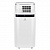 Мобильный кондиционер Electrolux EACM-20 JK/N3 Ice Column в ДНР (Донецке)